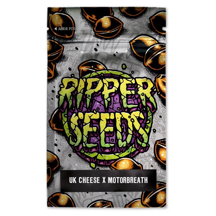 UK Cheese x Motorbreath UK Cheese x Motorbreath