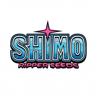 Shimo Feminized Cannabis Seeds