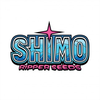 SHIMO STICKER