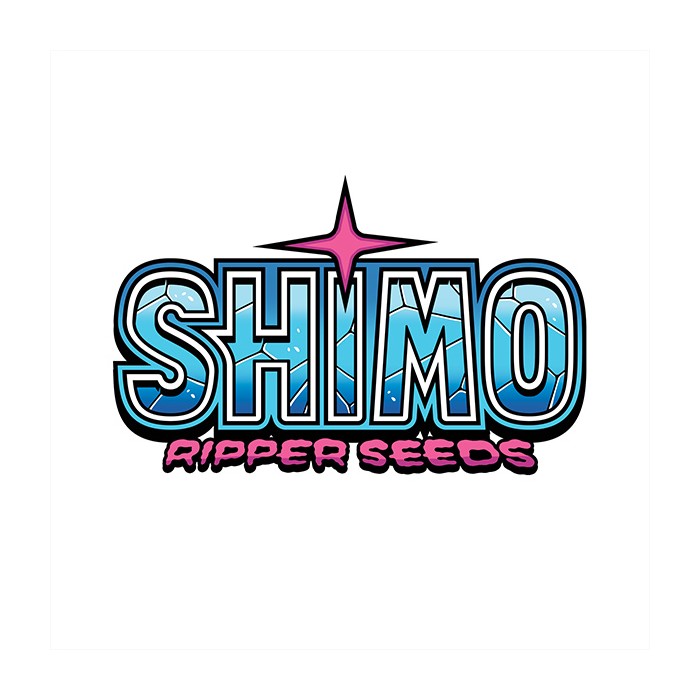 SHIMO STICKER