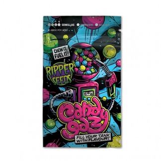 Graines de marijuana féminisées CandyGaz