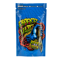 Ripper Haze Feminized Cannabis Seeds | Ripper Seeds