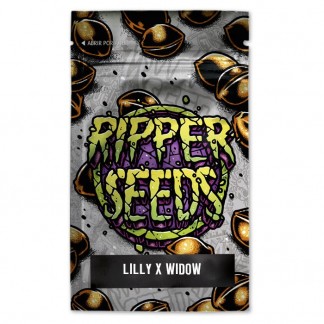 Lilly x White widow