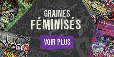 Graines féminisées