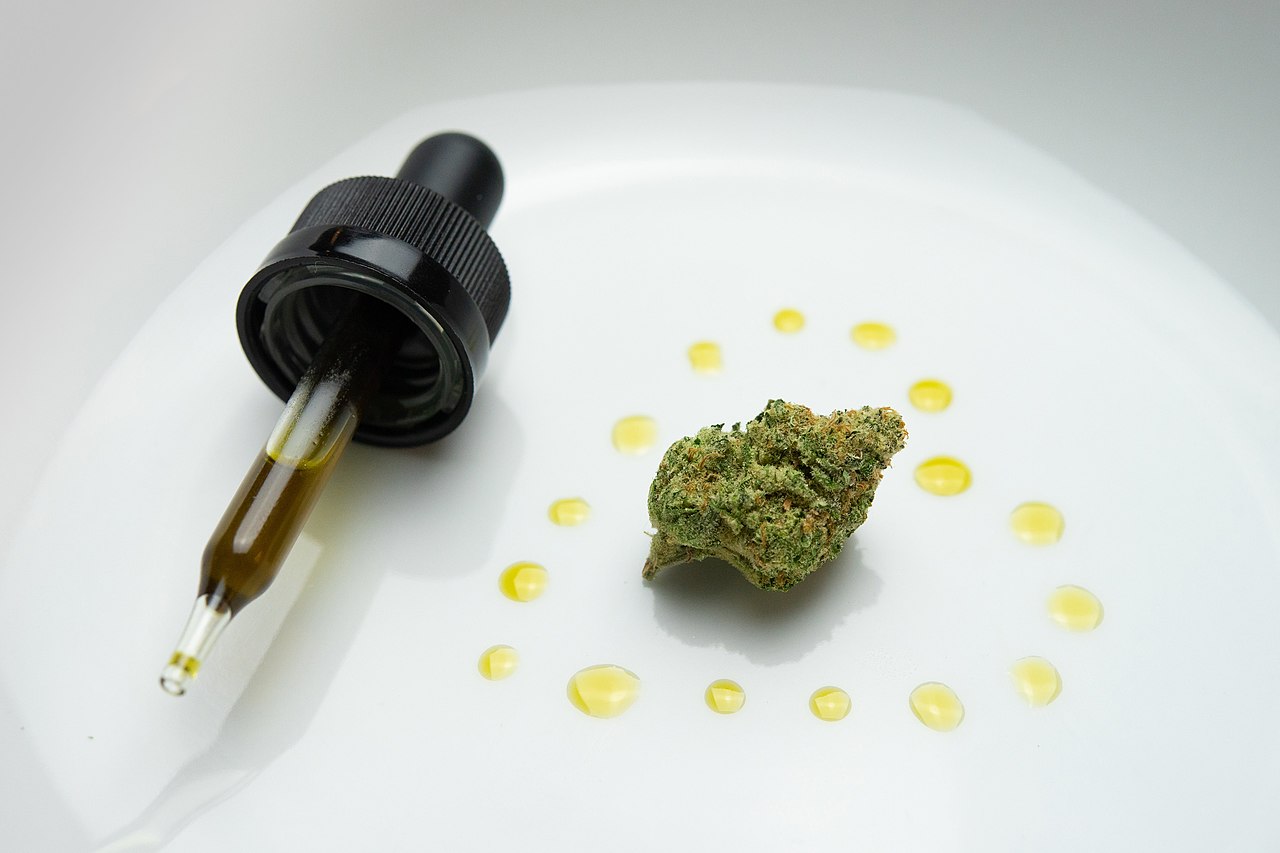 Cannabis oil on plate
