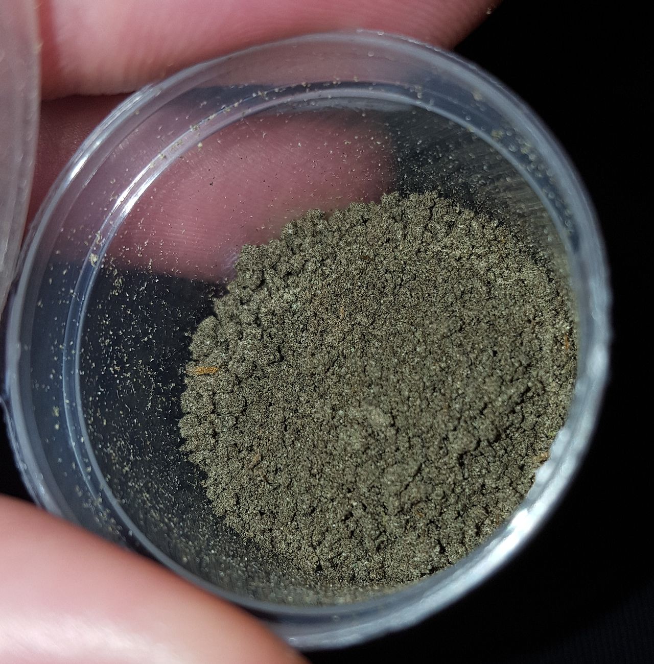 Bubble hash de cannabis en polvo dentro de un contenedor transparente, con textura granulada y color verde grisáceo característico