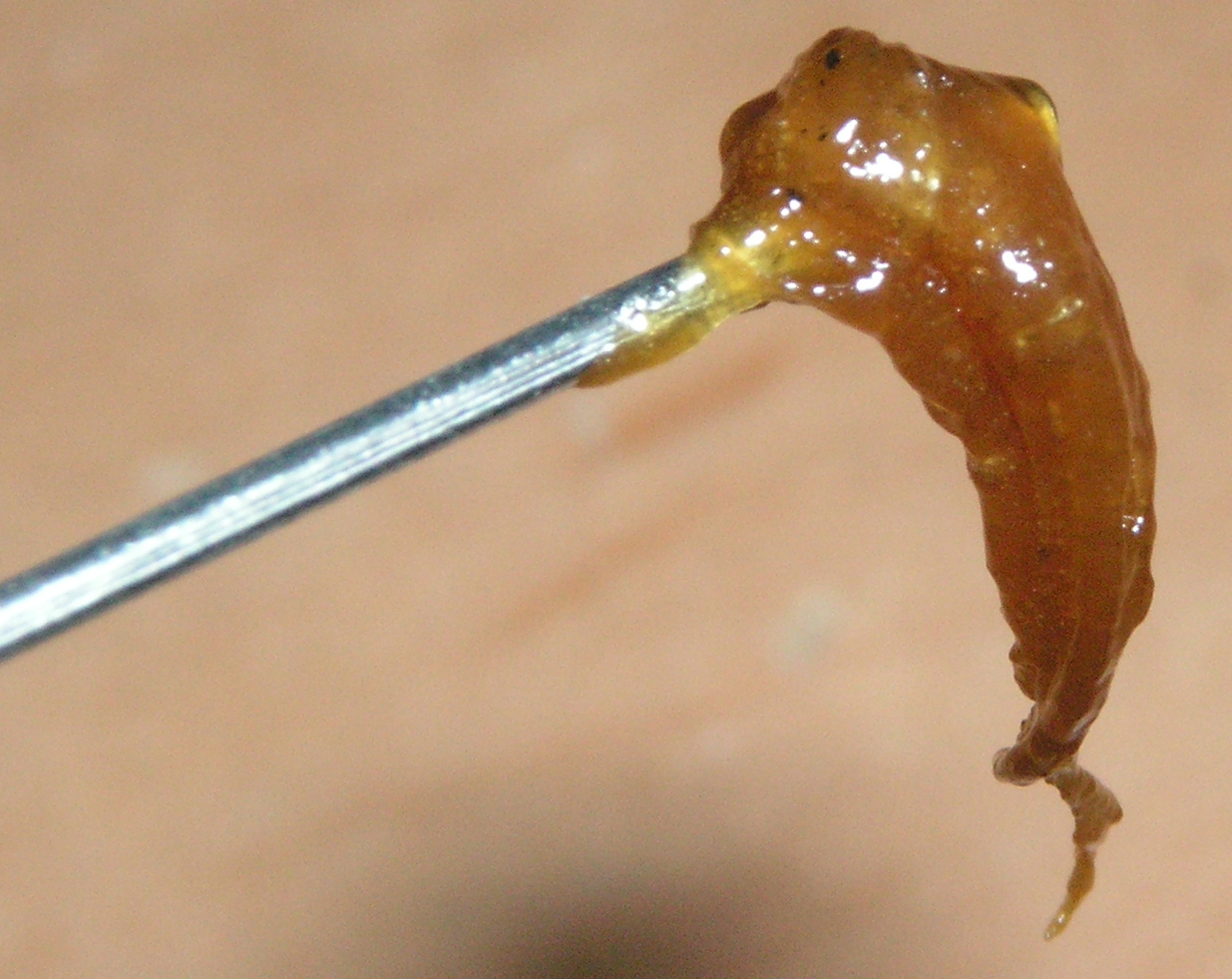 Extracto BHO de cannabis de consistencia tipo sap sobre un dab tool metálico