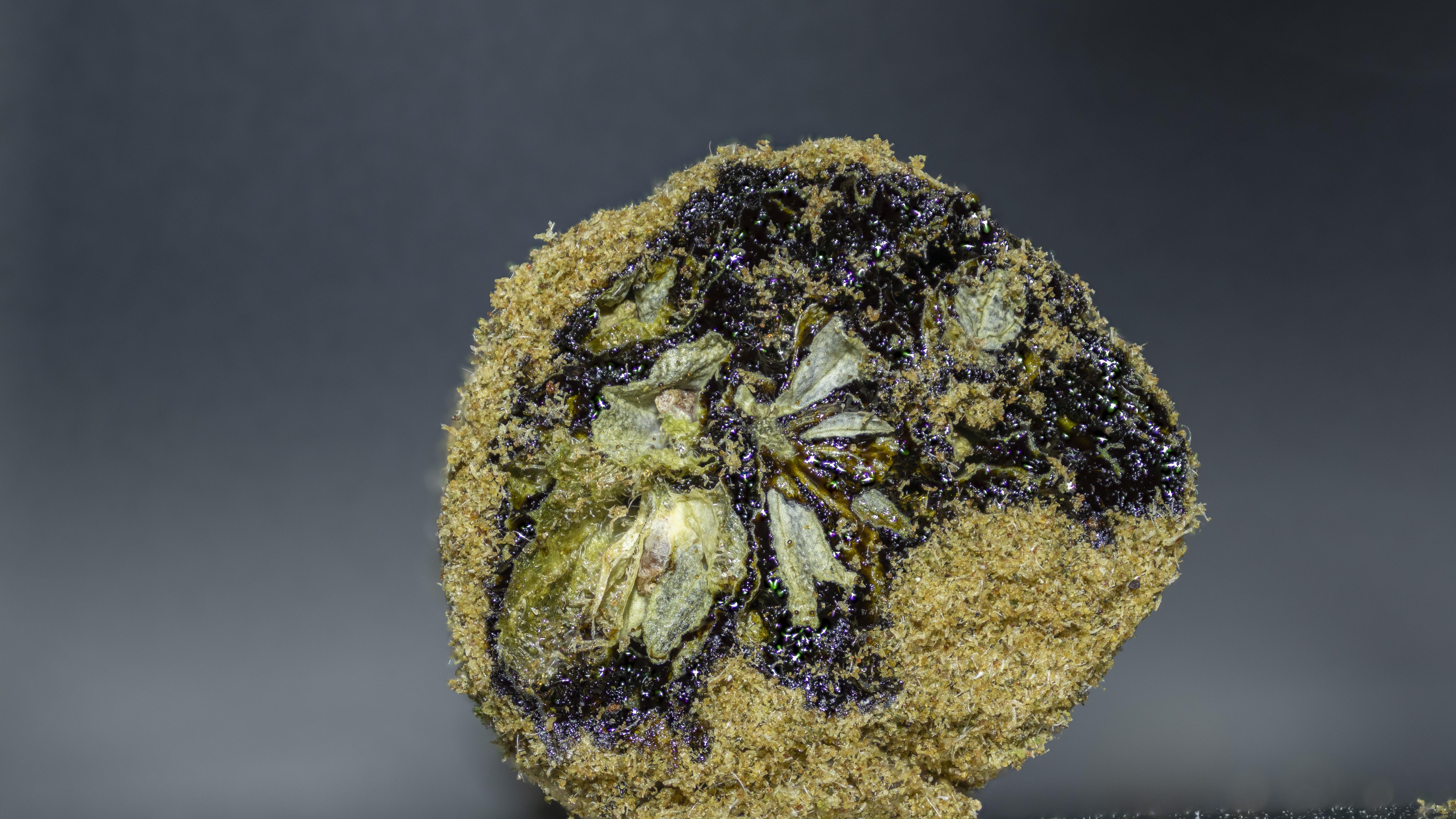 Moon Rock de cannabis cortado transversalmente: cogollo interior verde, capa intermedia de aceite de hachís oscuro y recubrimiento exterior de kief dorado