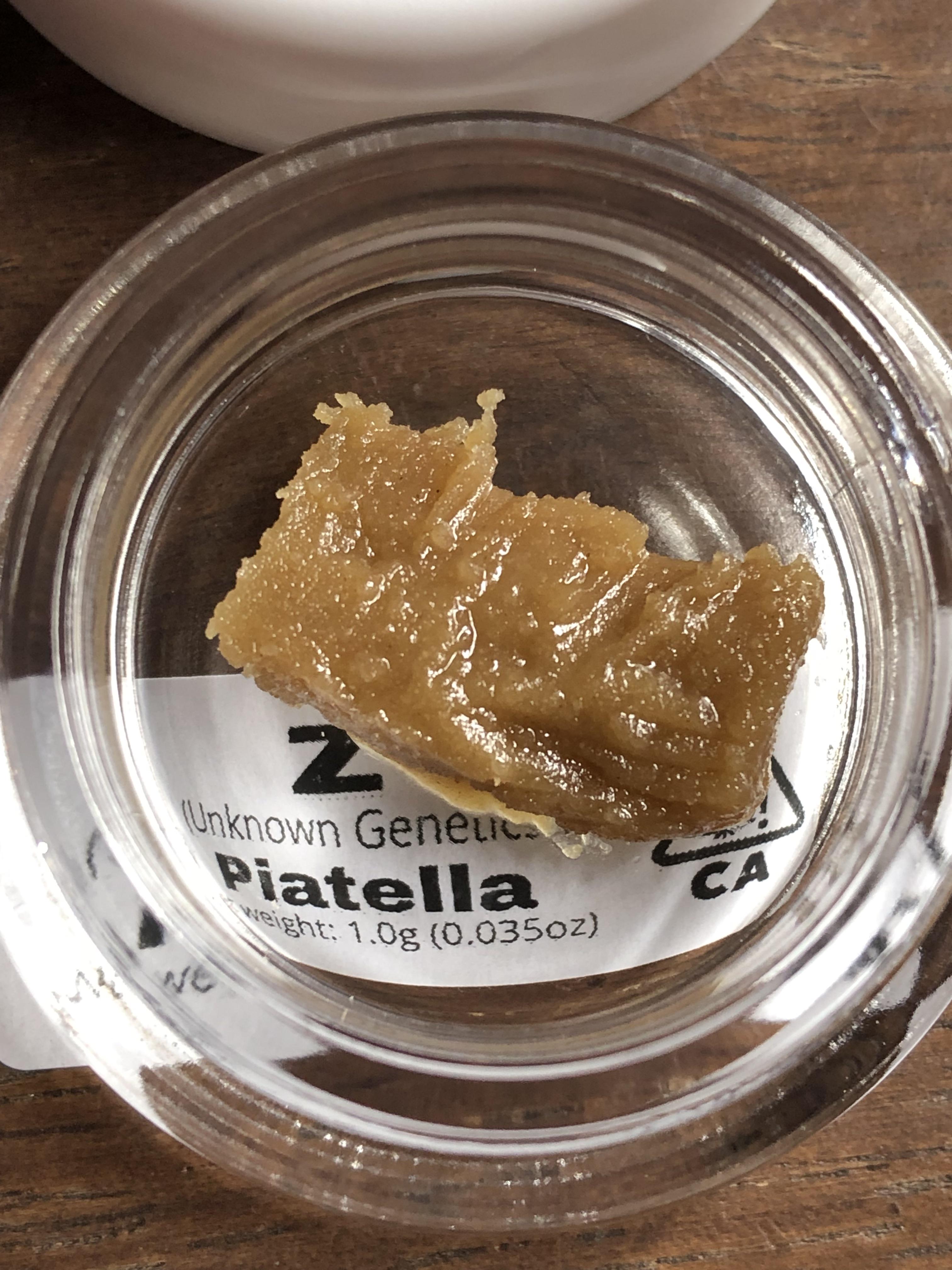 Piattella en bocal en verre fermé sur surface neutre