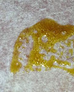 Rosin de cannabis sobre papel de pergamino: resina de color ámbar dorado con burbujas superficiales