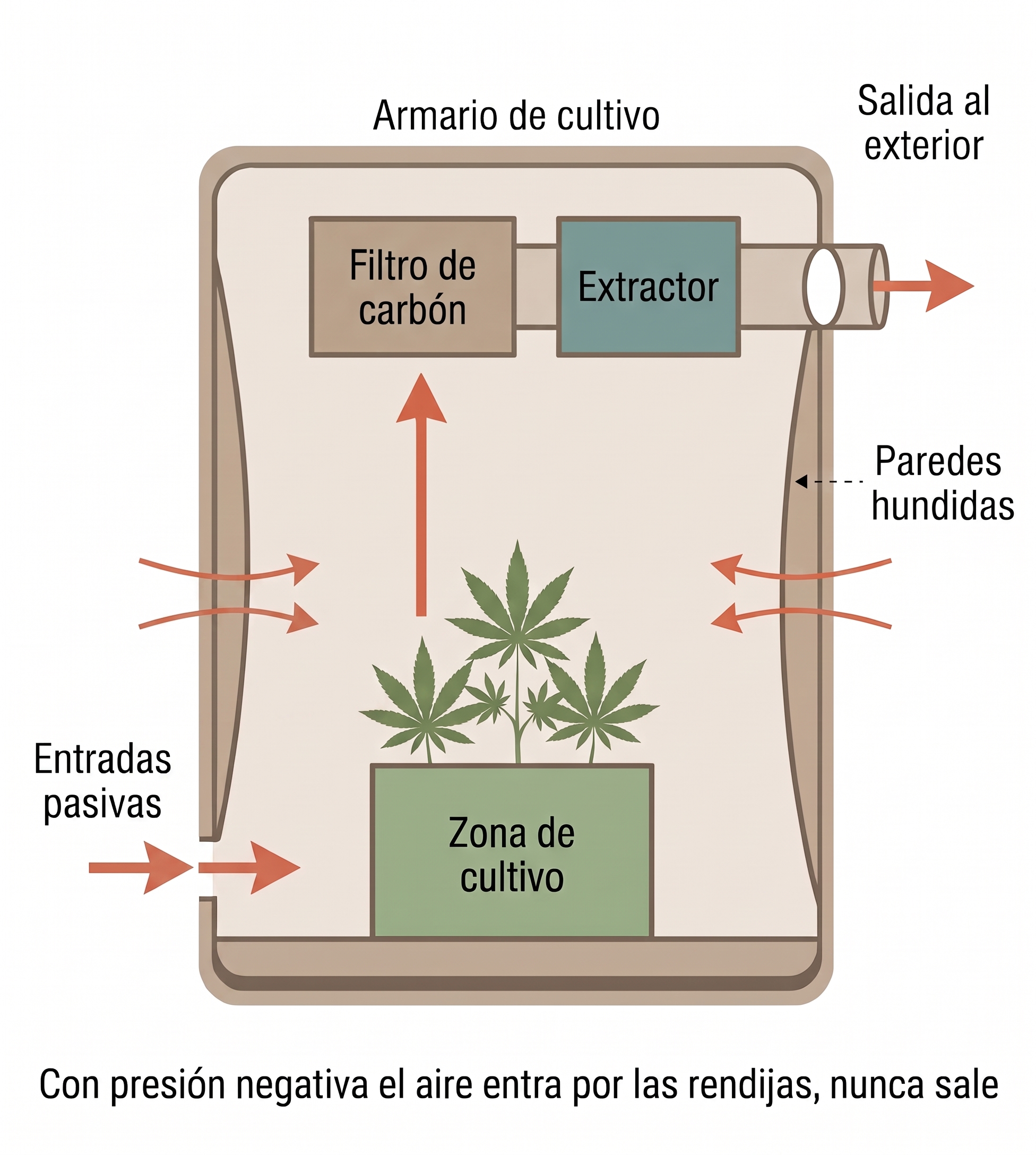 Esquema del circuito de aire de un armario de cultivo: el aire pasa de las plantas al filtro de carbón, luego al extractor y sale por el conducto.