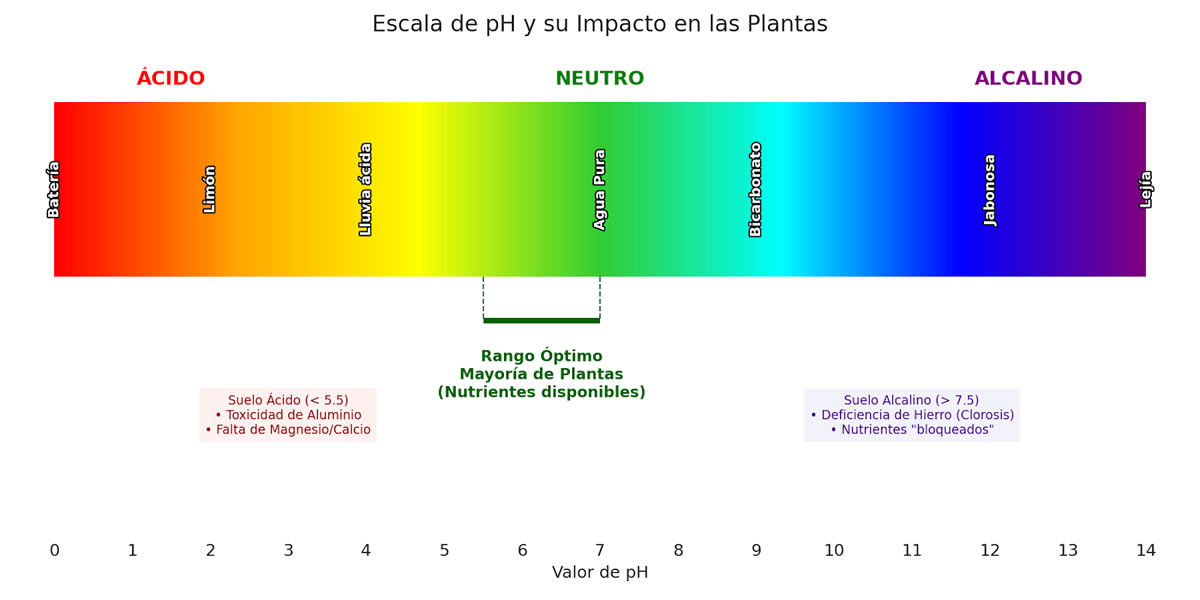 What Is Runoff In Cannabis EC PH And Drainage Analysis