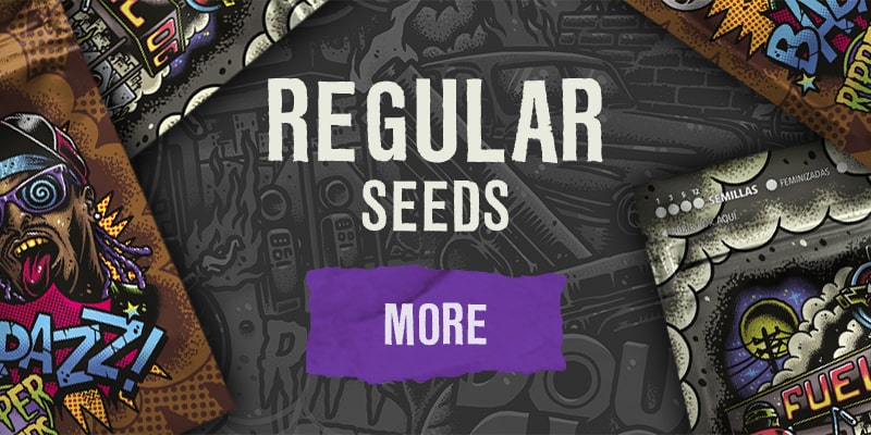regular seeds