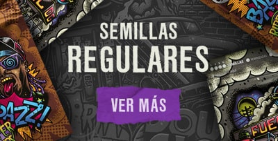 semillas regulares