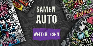 Autoflowering Samen