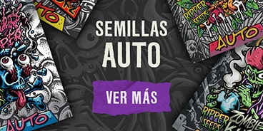 semillas auto