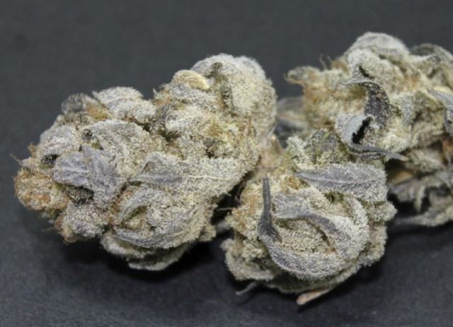 Secado y curado del cannabis, uno de los pasos mas importantes para su cultivo