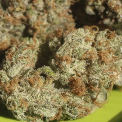 PH & EC y calidad del agua de riego