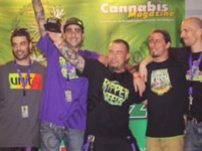 Cannabis Champions Cup 2014