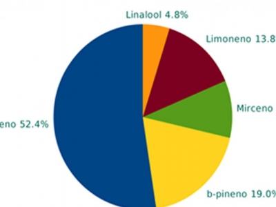 Terpenoid analysis: Black Valley Exterior