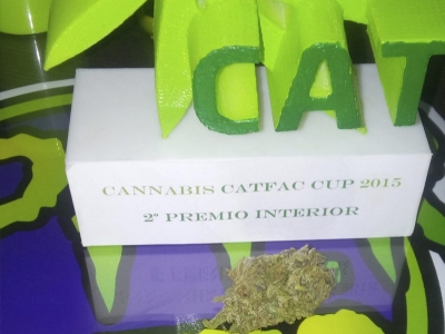 Washing Machine Second position Cannabis CATFAC Cup