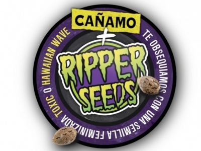 Cañamo & Ripper Seeds Magazine give you a Toxic