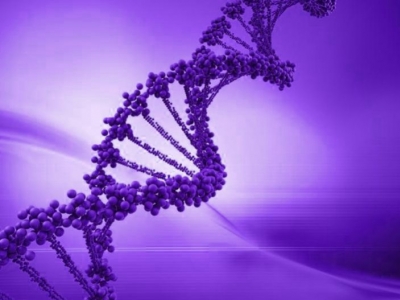 Epigenetics. Meaning and importance