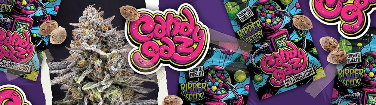 Foto de la variedad CandyGaz