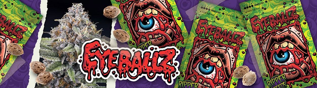 Foto de la variedad EyeBallz
