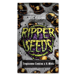 Tropicanna Cookies x K-Mintz| Ripper Seeds